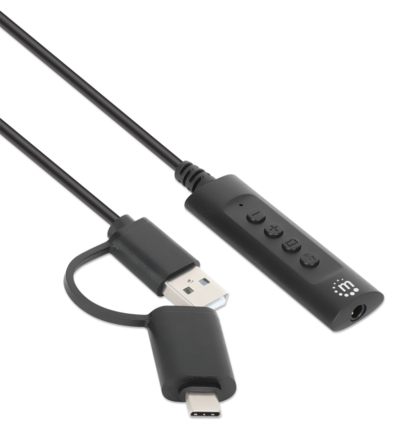 Cavo Adattatore 2-in-1 da USB-C™ e USB-A a Audio Stereo Aux da 3.5 mm