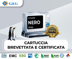 103791-FOXC