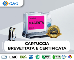 103793-FOXC