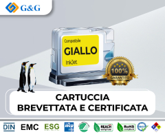 103794-FOXC