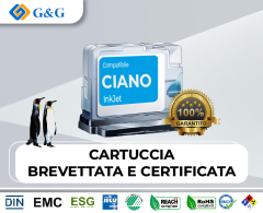 15811C-FOXC