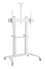 ICA-TR49W-ICIN_1