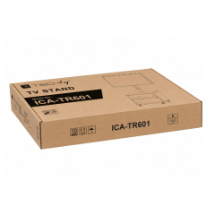 ICA-TR601-ICIN_2