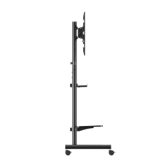ICA-TR75-ICIN_4